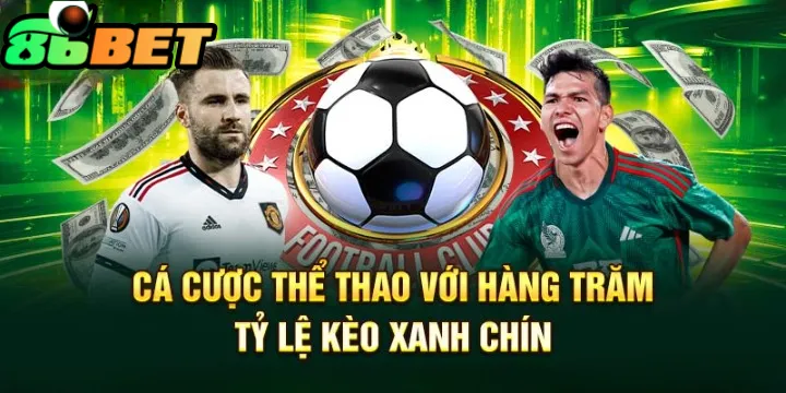 Cá cược thể thao 86bet