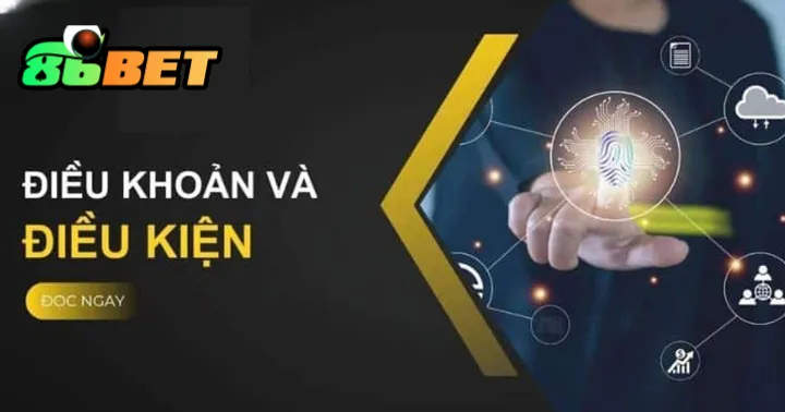 Các điều khoản và điều kiện 86Bet  phổ biến